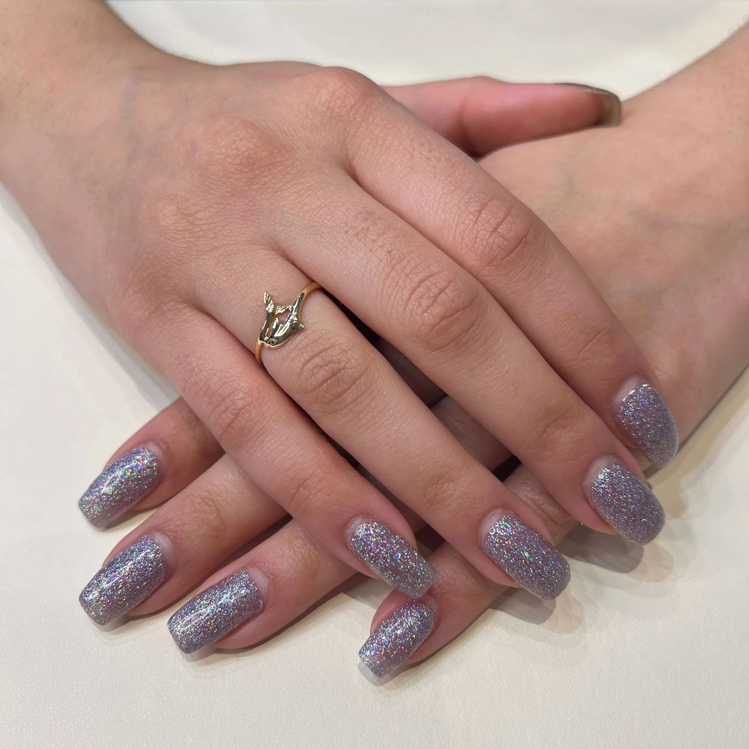 14K Yellow Gold High Polish Dolphin Ring