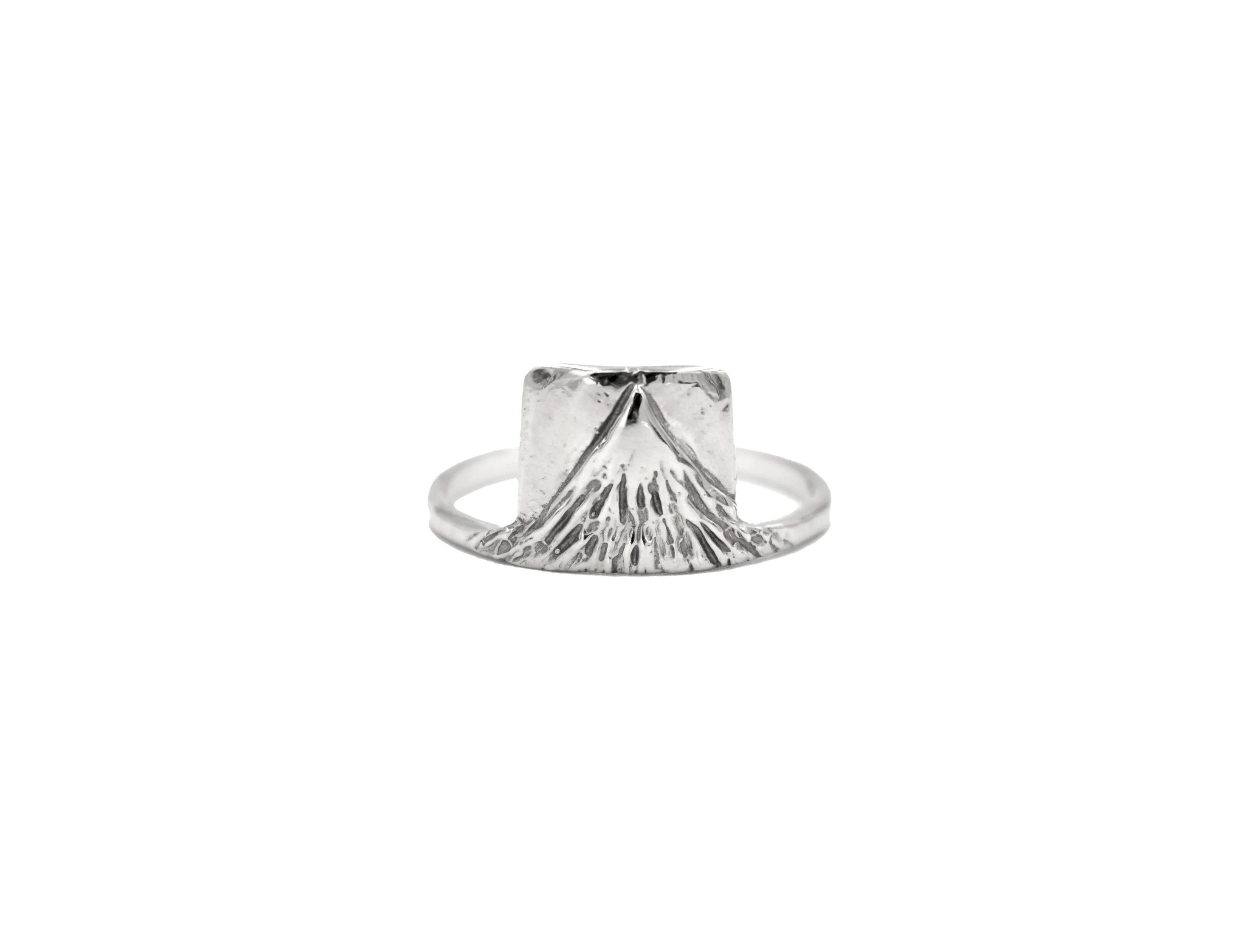 Earth Ring