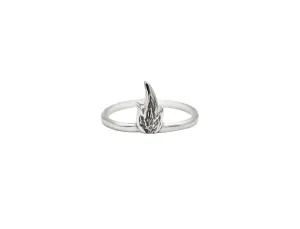 Fire Ring