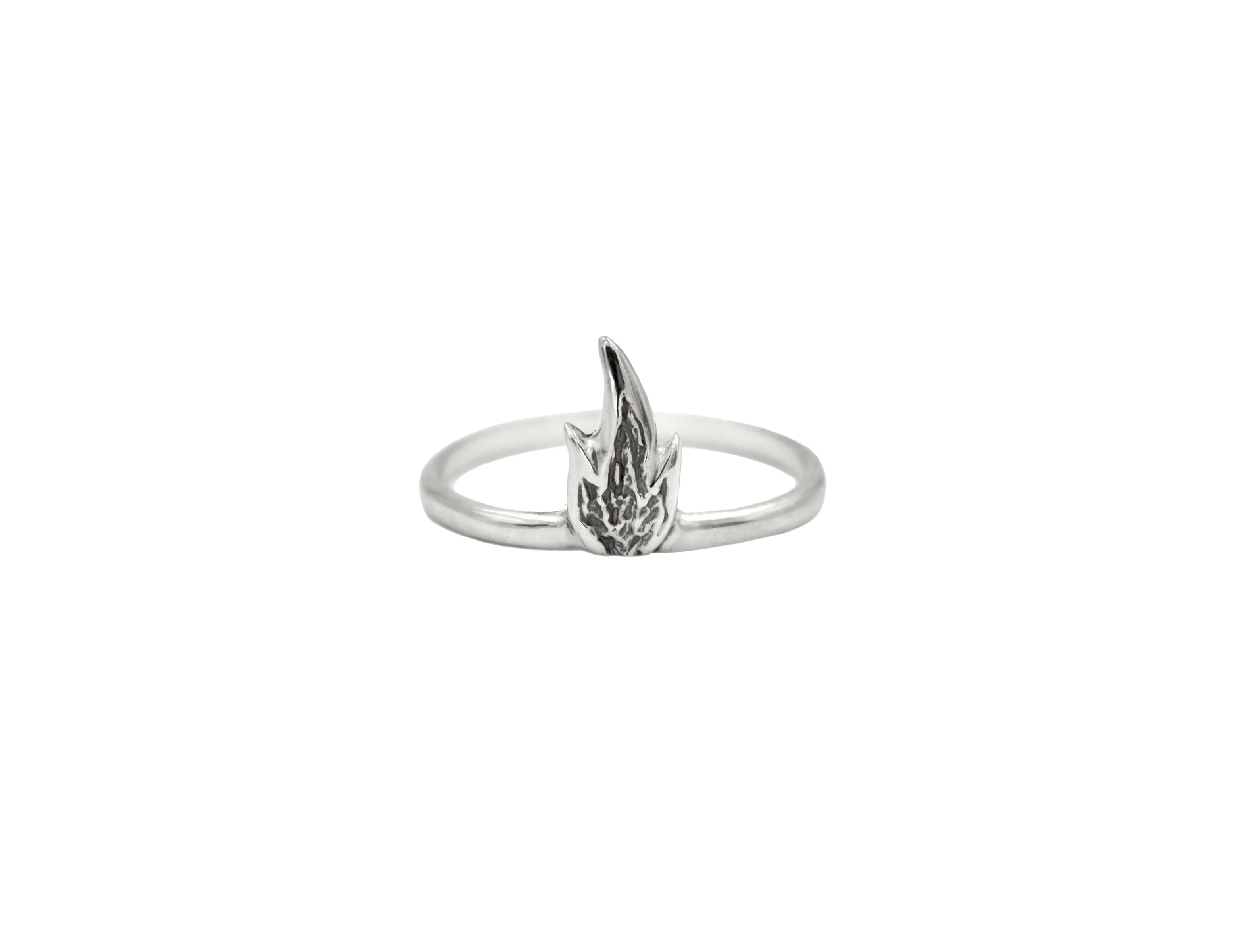 Fire Ring