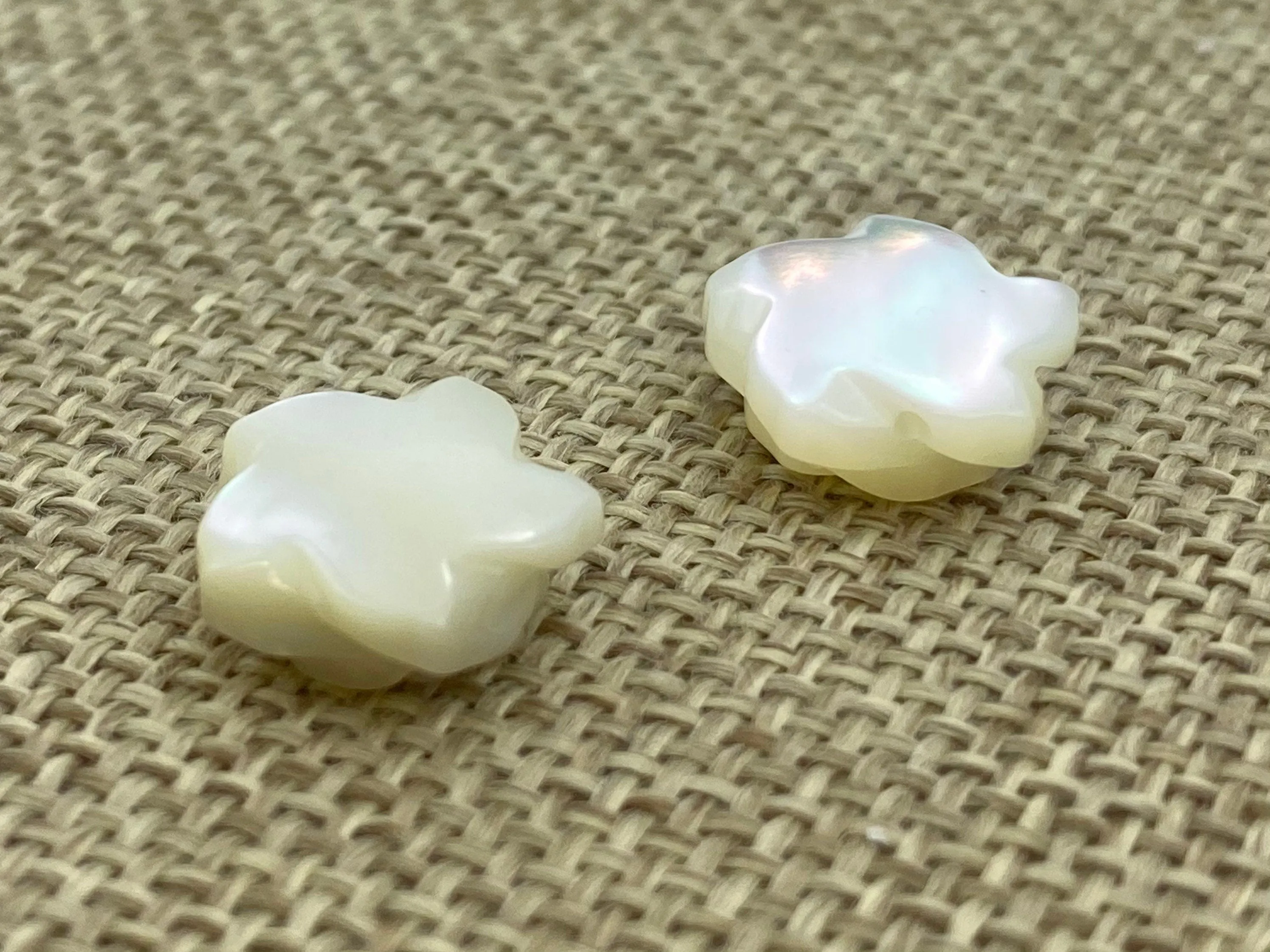 Mother Of Pearls White Rose, Sku#M17