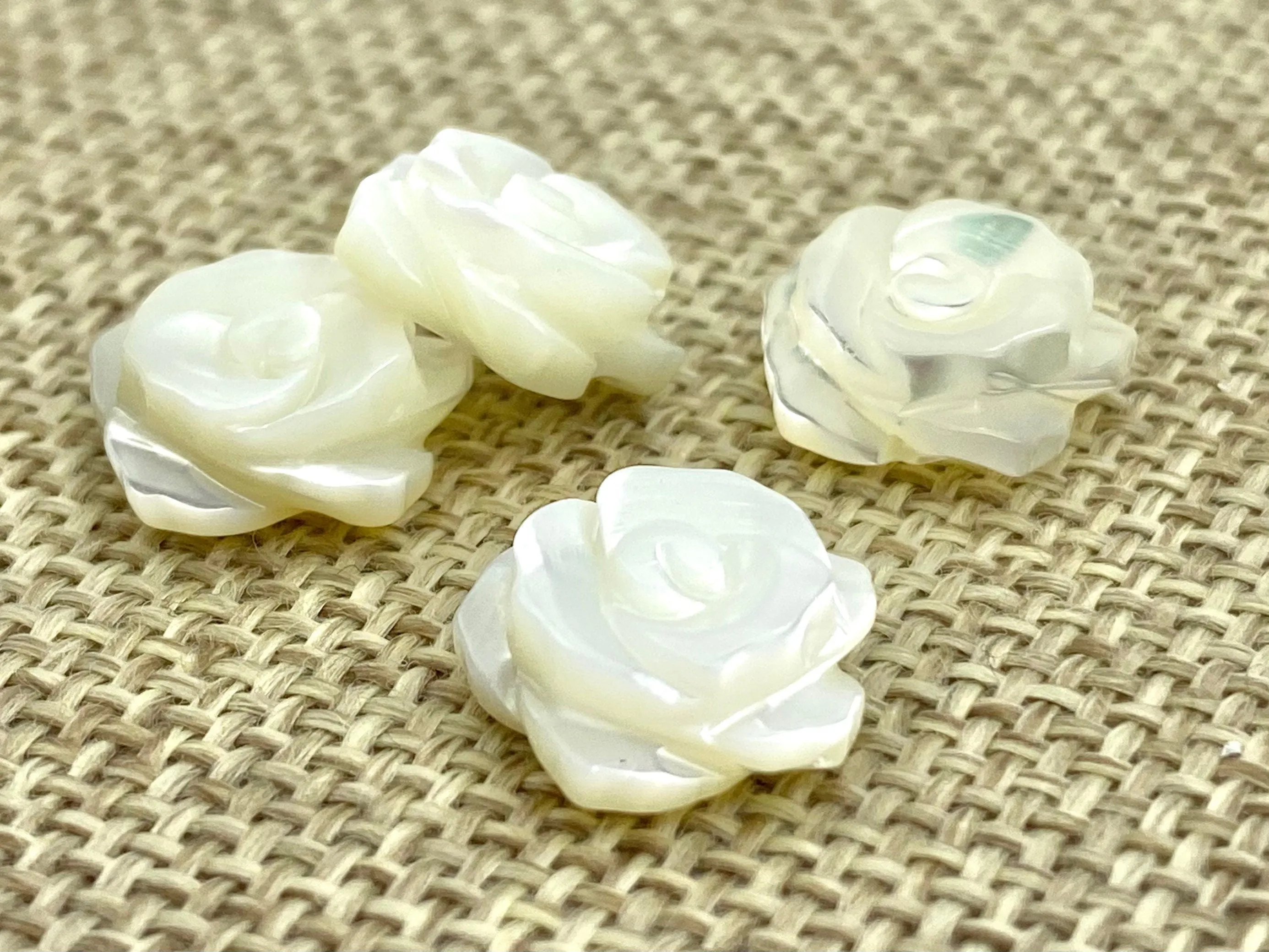Mother Of Pearls White Rose, Sku#M17