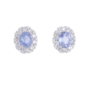 PT900 3.987 CTW Sapphire Halo Earrings