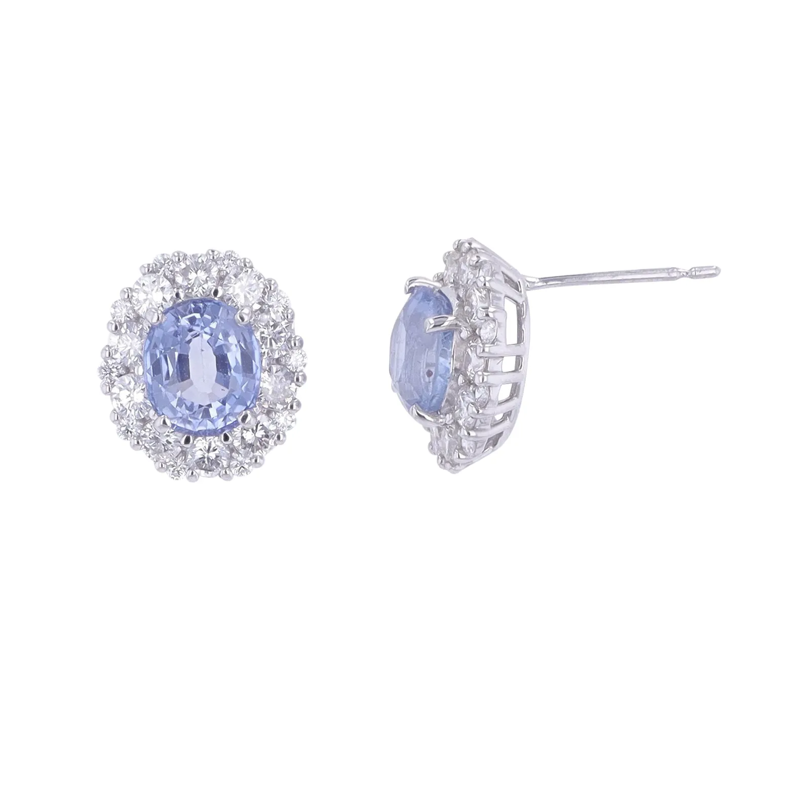 PT900 3.987 CTW Sapphire Halo Earrings