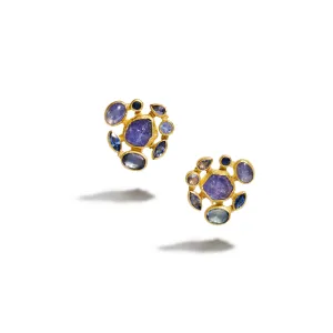 Tanzanite and Sapphire Earrings
